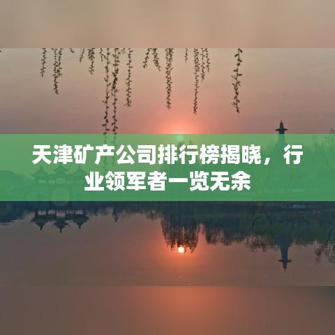天津矿产公司排行榜揭晓，行业领军者一览无余