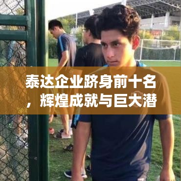 泰达企业跻身前十名，辉煌成就与巨大潜力展望