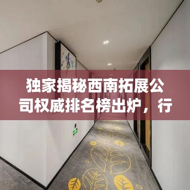 独家揭秘西南拓展公司权威排名榜出炉，行业巨头齐聚，究竟谁是领头羊？