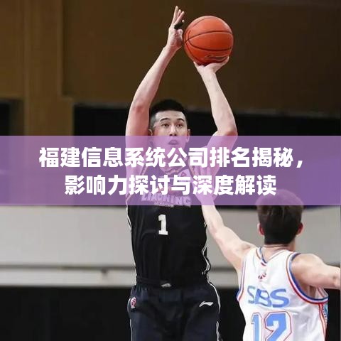 福建信息系统公司排名揭秘，影响力探讨与深度解读