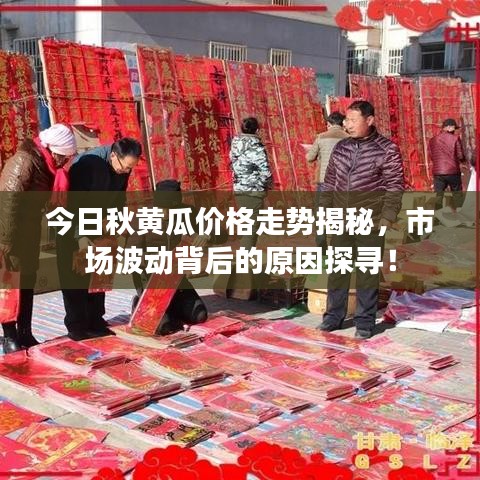 今日秋黄瓜价格走势揭秘，市场波动背后的原因探寻！