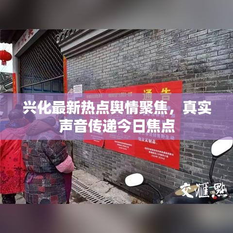 兴化最新热点舆情聚焦，真实声音传递今日焦点