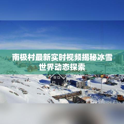 南极村最新实时视频揭秘冰雪世界动态探索