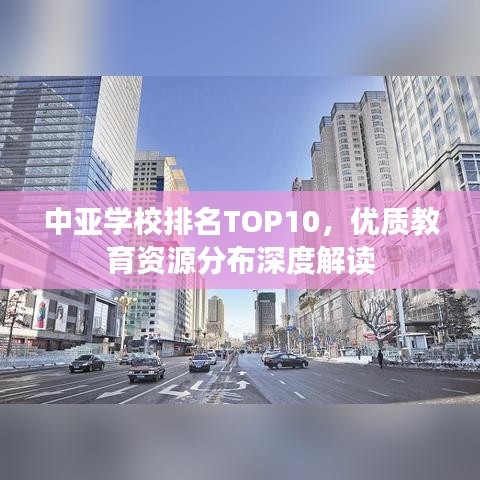 中亚学校排名TOP10，优质教育资源分布深度解读