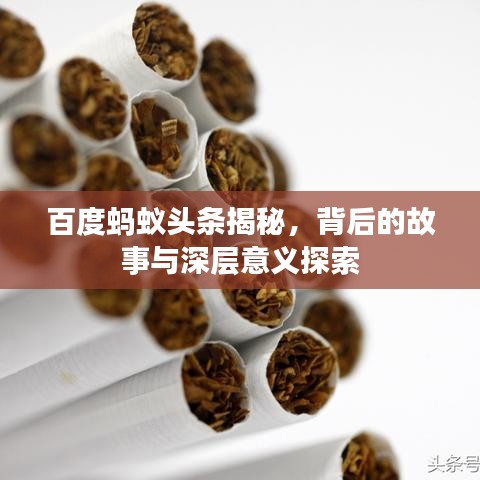 百度蚂蚁头条揭秘，背后的故事与深层意义探索