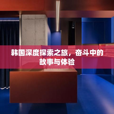 韩国深度探索之旅，奋斗中的故事与体验