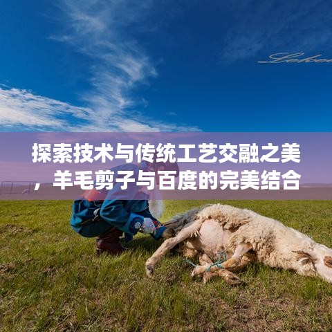 探索技术与传统工艺交融之美，羊毛剪子与百度的完美结合之旅