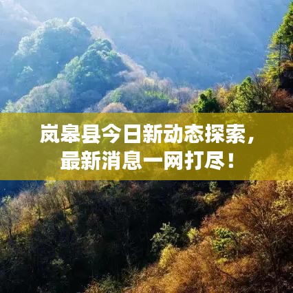 岚皋县今日新动态探索，最新消息一网打尽！