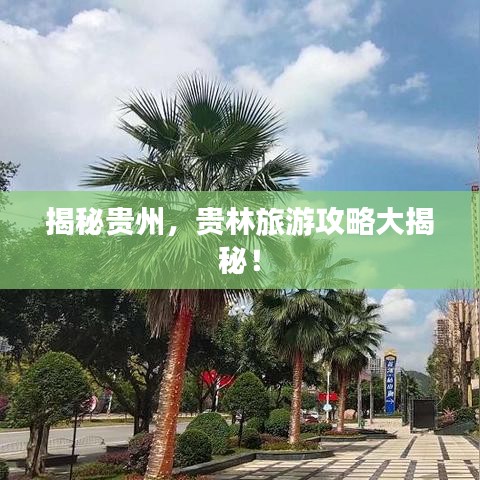 揭秘贵州，贵林旅游攻略大揭秘！