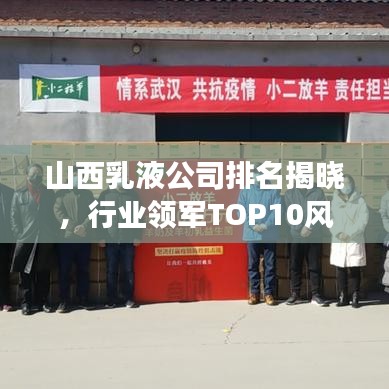 山西乳液公司排名揭晓，行业领军TOP10风采展示