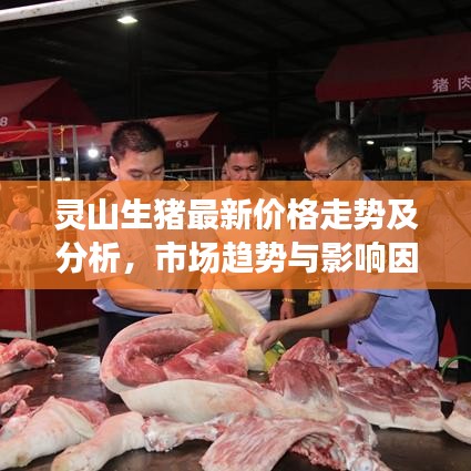 灵山生猪最新价格走势及分析，市场趋势与影响因素探讨