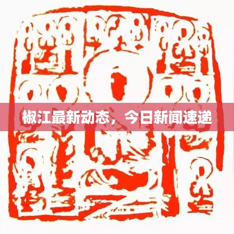 椒江最新动态，今日新闻速递