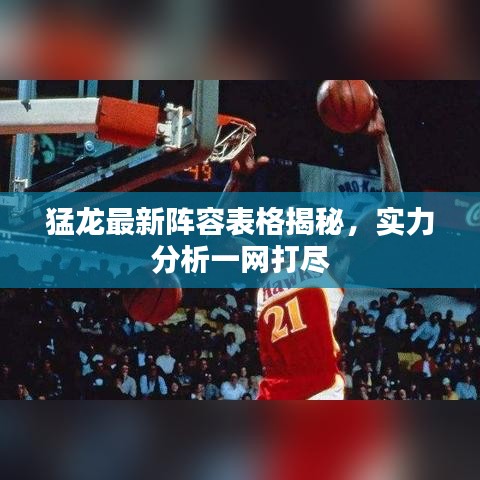 猛龙最新阵容表格揭秘，实力分析一网打尽