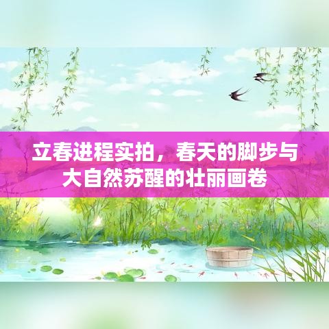 立春进程实拍，春天的脚步与大自然苏醒的壮丽画卷