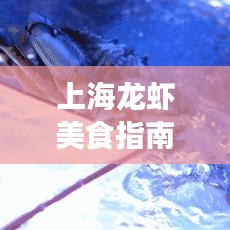 上海龙虾美食指南，十大必尝之选，开启美食之旅！