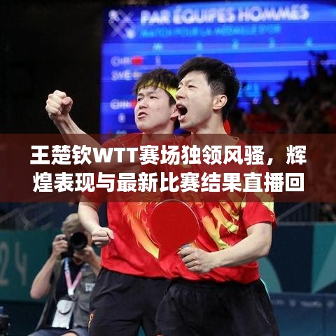 王楚钦WTT赛场独领风骚，辉煌表现与最新比赛结果直播回顾