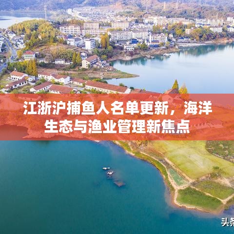 江浙沪捕鱼人名单更新，海洋生态与渔业管理新焦点