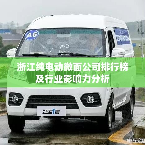 浙江纯电动微面公司排行榜及行业影响力分析