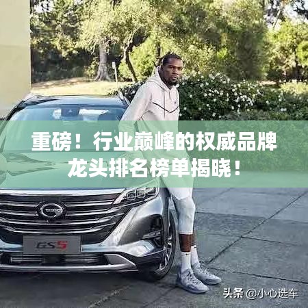 重磅！行业巅峰的权威品牌龙头排名榜单揭晓！