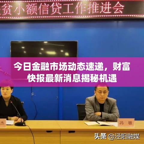 今日金融市场动态速递，财富快报最新消息揭秘机遇