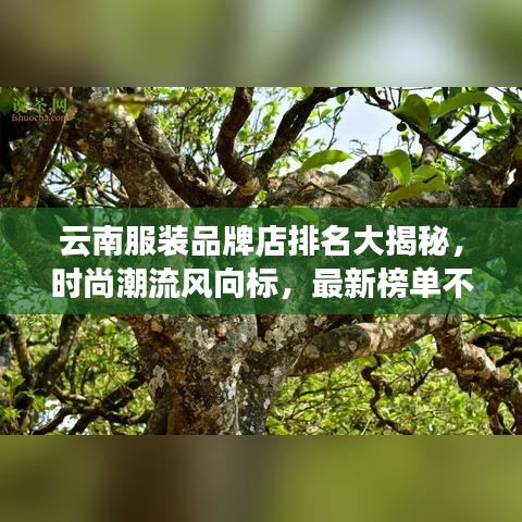 云南服装品牌店排名大揭秘，时尚潮流风向标，最新榜单不容错过！