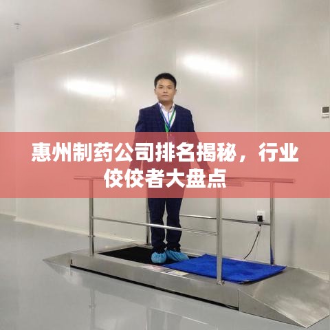 惠州制药公司排名揭秘，行业佼佼者大盘点