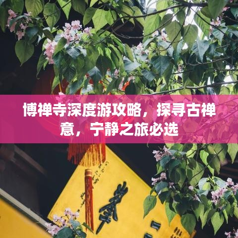 博禅寺深度游攻略，探寻古禅意，宁静之旅必选