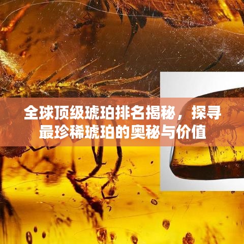 全球顶级琥珀排名揭秘，探寻最珍稀琥珀的奥秘与价值
