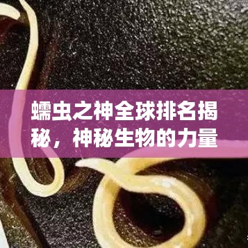 蠕虫之神全球排名揭秘，神秘生物的力量与辉煌荣耀！