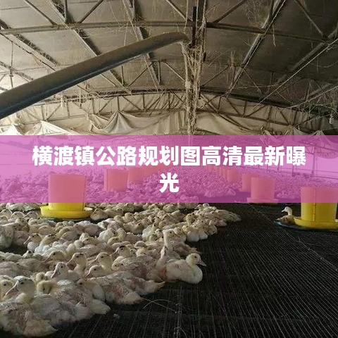 横渡镇公路规划图高清最新曝光