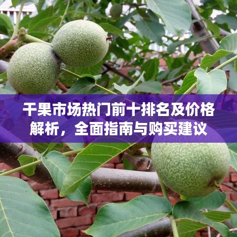 干果市场热门前十排名及价格解析，全面指南与购买建议
