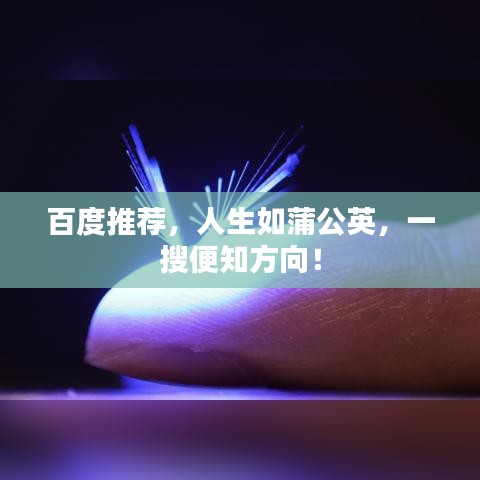 百度推荐，人生如蒲公英，一搜便知方向！