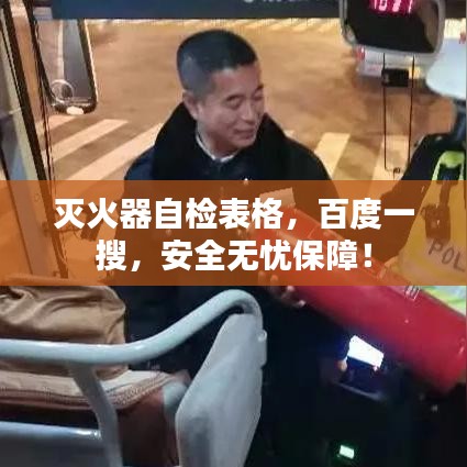 灭火器自检表格，百度一搜，安全无忧保障！
