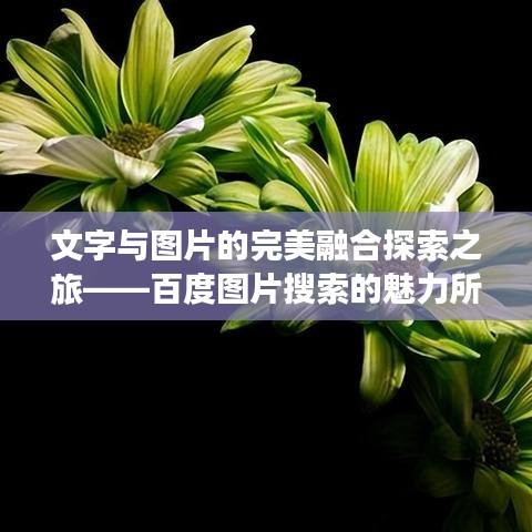 文字与图片的完美融合探索之旅——百度图片搜索的魅力所在