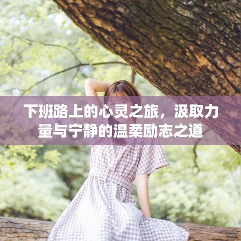 下班路上的心灵之旅，汲取力量与宁静的温柔励志之道