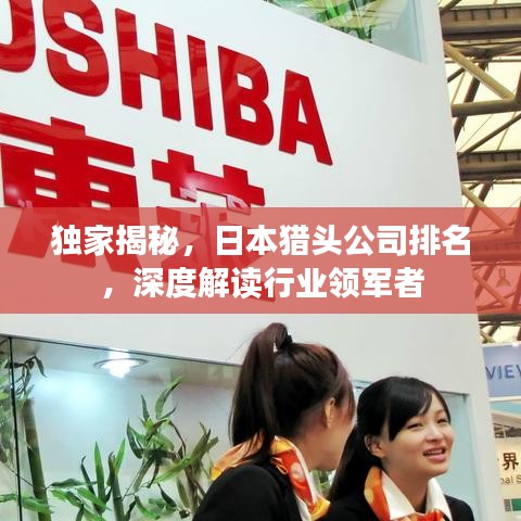 独家揭秘，日本猎头公司排名，深度解读行业领军者