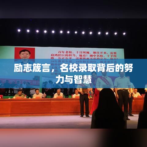 励志箴言，名校录取背后的努力与智慧