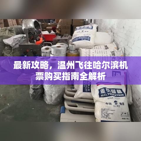 最新攻略，温州飞往哈尔滨机票购买指南全解析