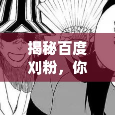 揭秘百度刈粉，你不知道的秘密世界