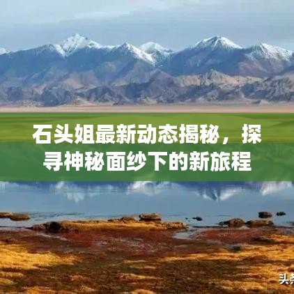 石头姐最新动态揭秘，探寻神秘面纱下的新旅程