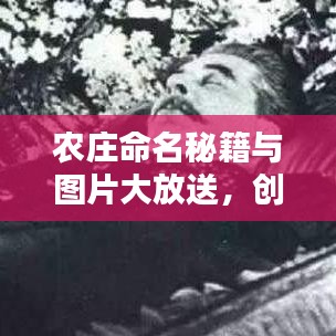 农庄命名秘籍与图片大放送，创意指南一网打尽！