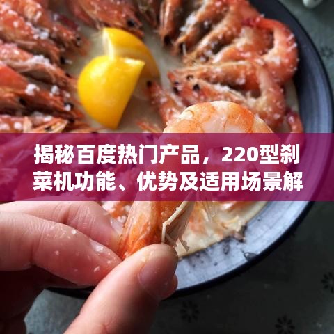 揭秘百度热门产品，220型刹菜机功能、优势及适用场景解析