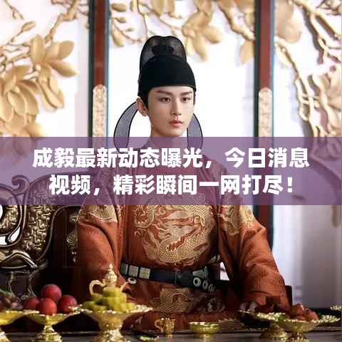 成毅最新动态曝光，今日消息视频，精彩瞬间一网打尽！