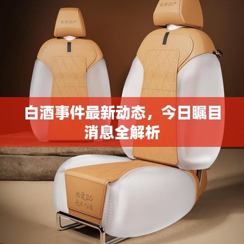 白酒事件最新动态，今日瞩目消息全解析