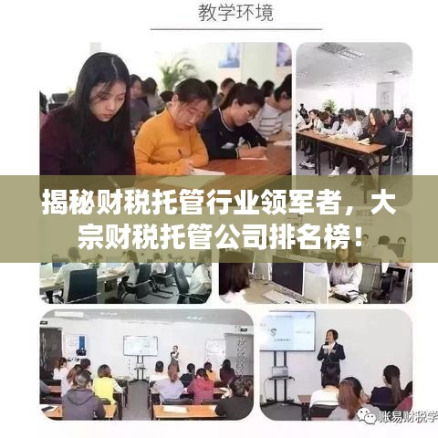 揭秘财税托管行业领军者，大宗财税托管公司排名榜！