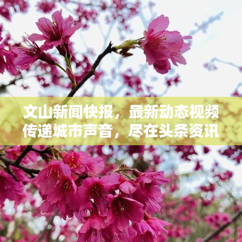 文山新闻快报，最新动态视频传递城市声音，尽在头条资讯