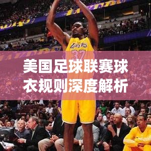 美国足球联赛球衣规则深度解析，最新解读与要点梳理