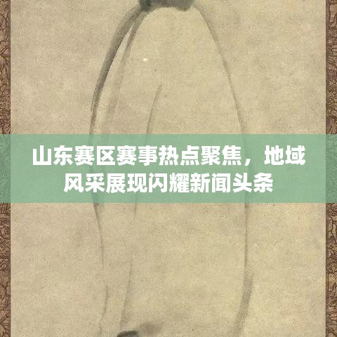 山东赛区赛事热点聚焦，地域风采展现闪耀新闻头条