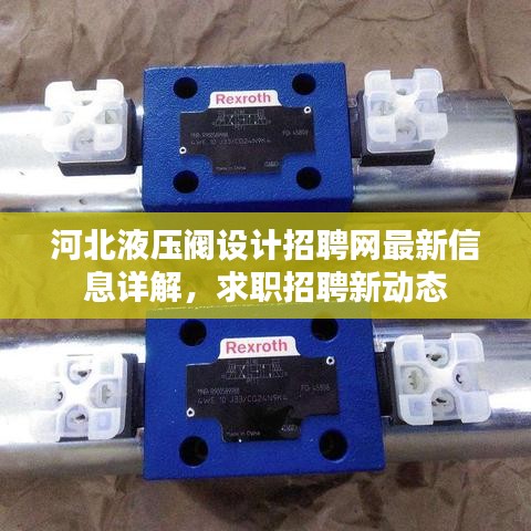 河北液压阀设计招聘网最新信息详解，求职招聘新动态