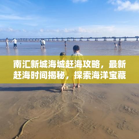 南汇新城海城赶海攻略，最新赶海时间揭秘，探索海洋宝藏的无限乐趣！